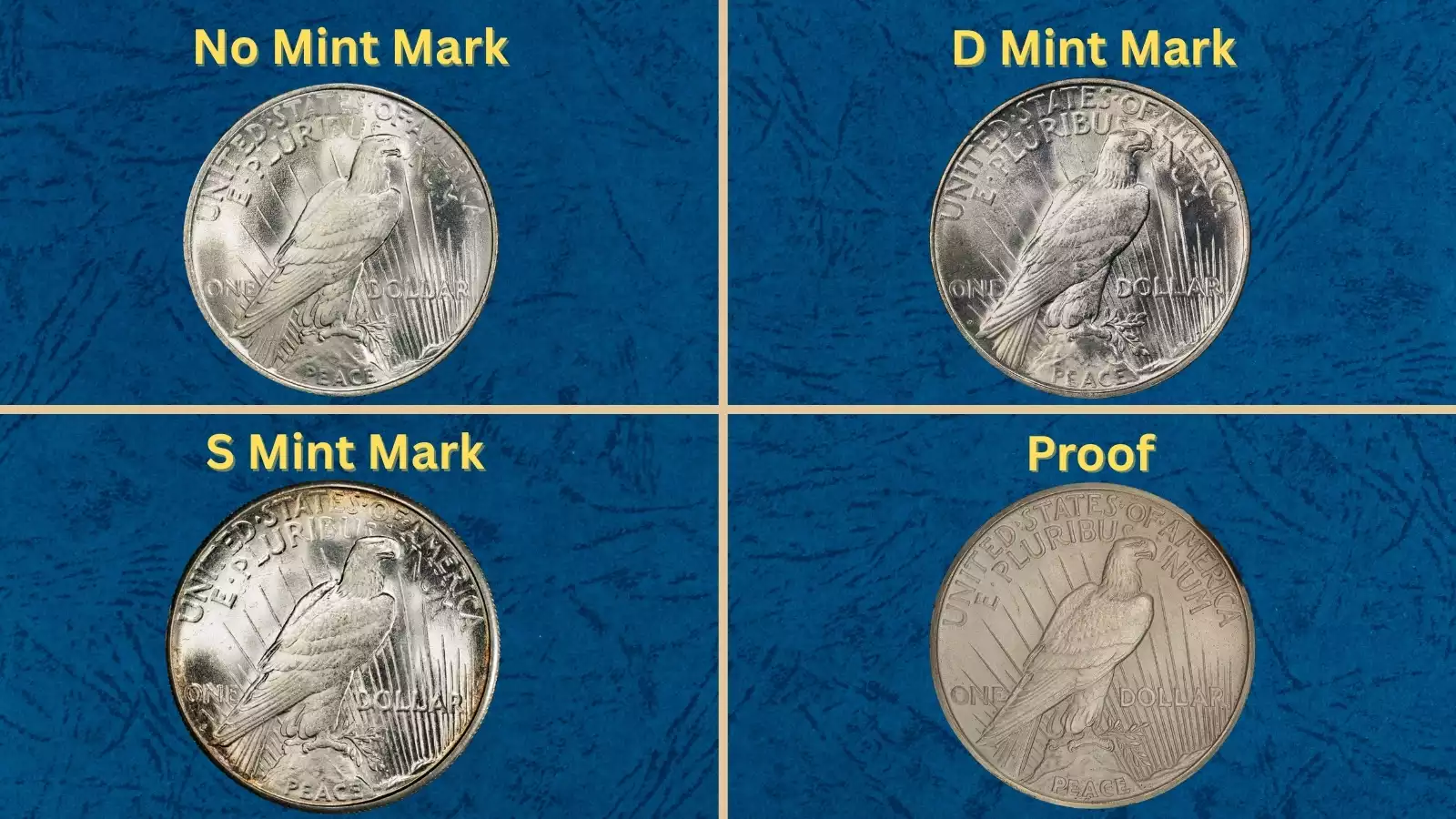 Collection of 1922 Peace Dollars from different mints showing mintage variety
